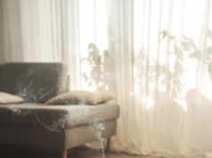 Reset Your Space: Inviting Positivity with Vastu Principles