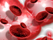 YOUR BLOOD YOUR BALANCE