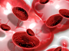 YOUR BLOOD YOUR BALANCE