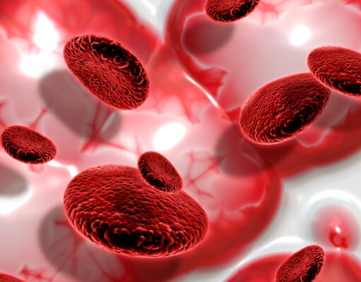 YOUR BLOOD YOUR BALANCE