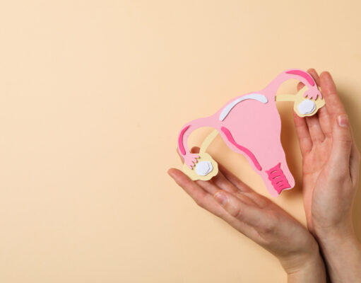 The Gyno’s Guide Every Woman Deserves