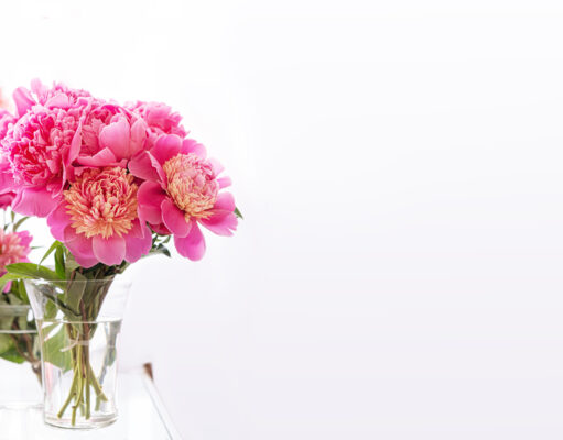 Love’s Eternal Language