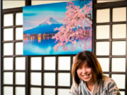 Japanese Restaurant Kotetsu