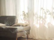 Reset Your Space: Inviting Positivity with Vastu Principles