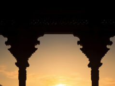 The Power of Gratitude