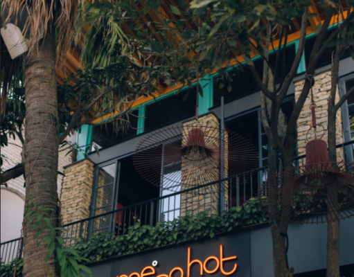 mesohot